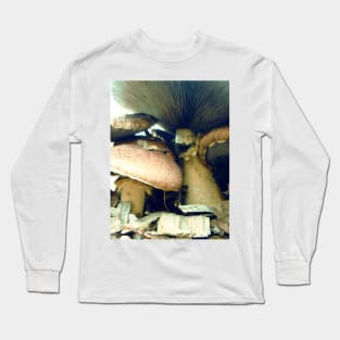 Underneath a Mushroom Long Sleeve T-Shirt